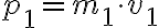  p_{1} = m_{1} \cdot v_{1} 