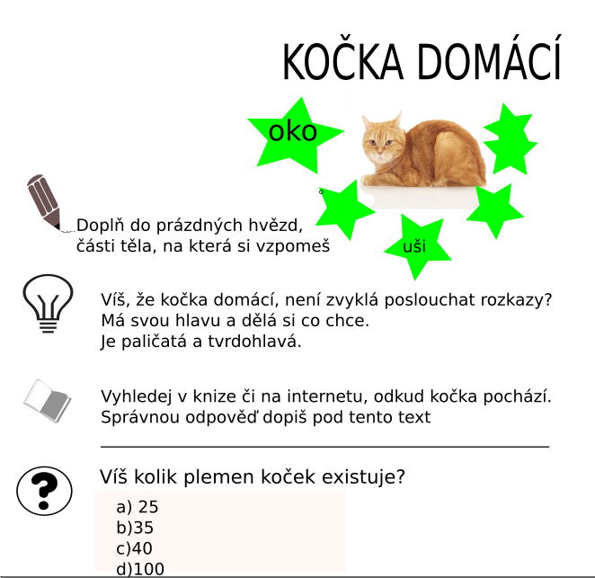 Příklad pracovního listu 2
