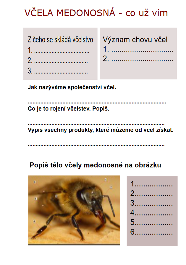 Příklad pracovního listu 5