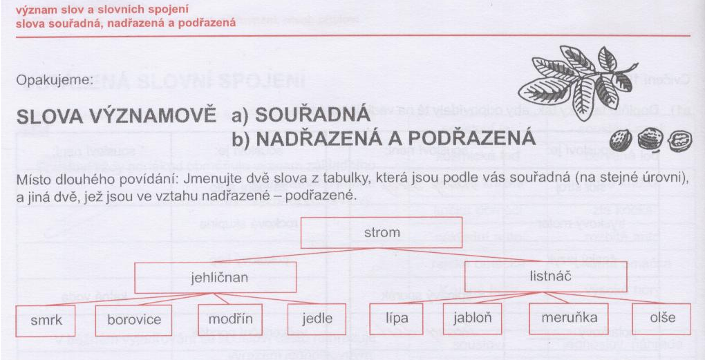 http://phix.zcu.cz/moodle/file.php/177/hyperonymum.jpg